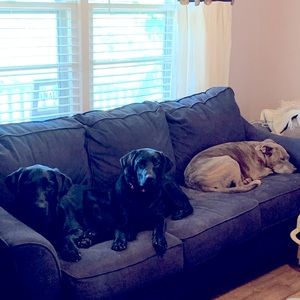 Meet your Posher, Jill